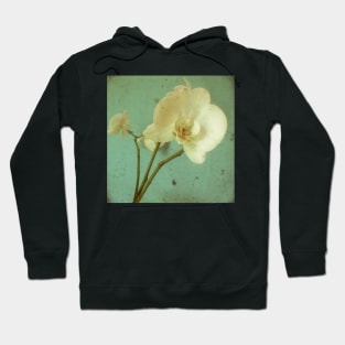 Morning Glory Hoodie